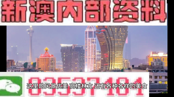 新澳门全年免费料精准，精选解析解释落实