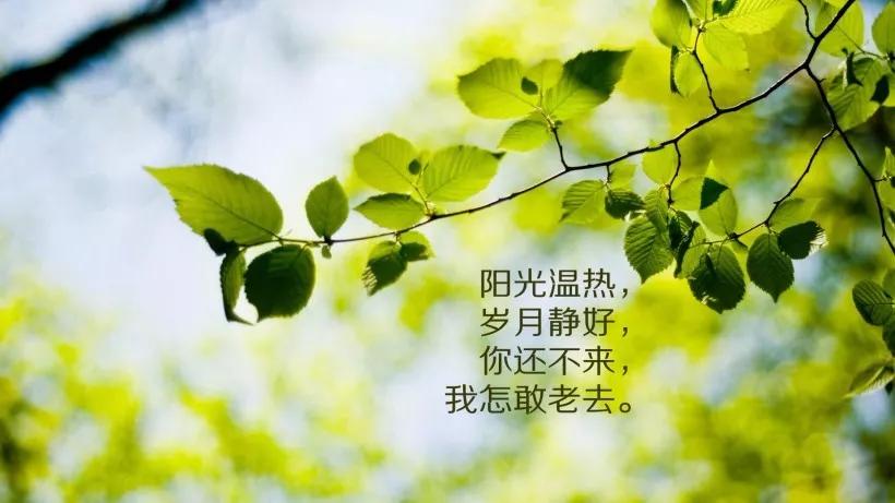 第240页