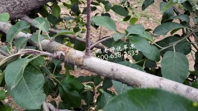 新闻 第62页