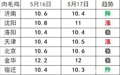 肉毛鸡价格最新行情走势