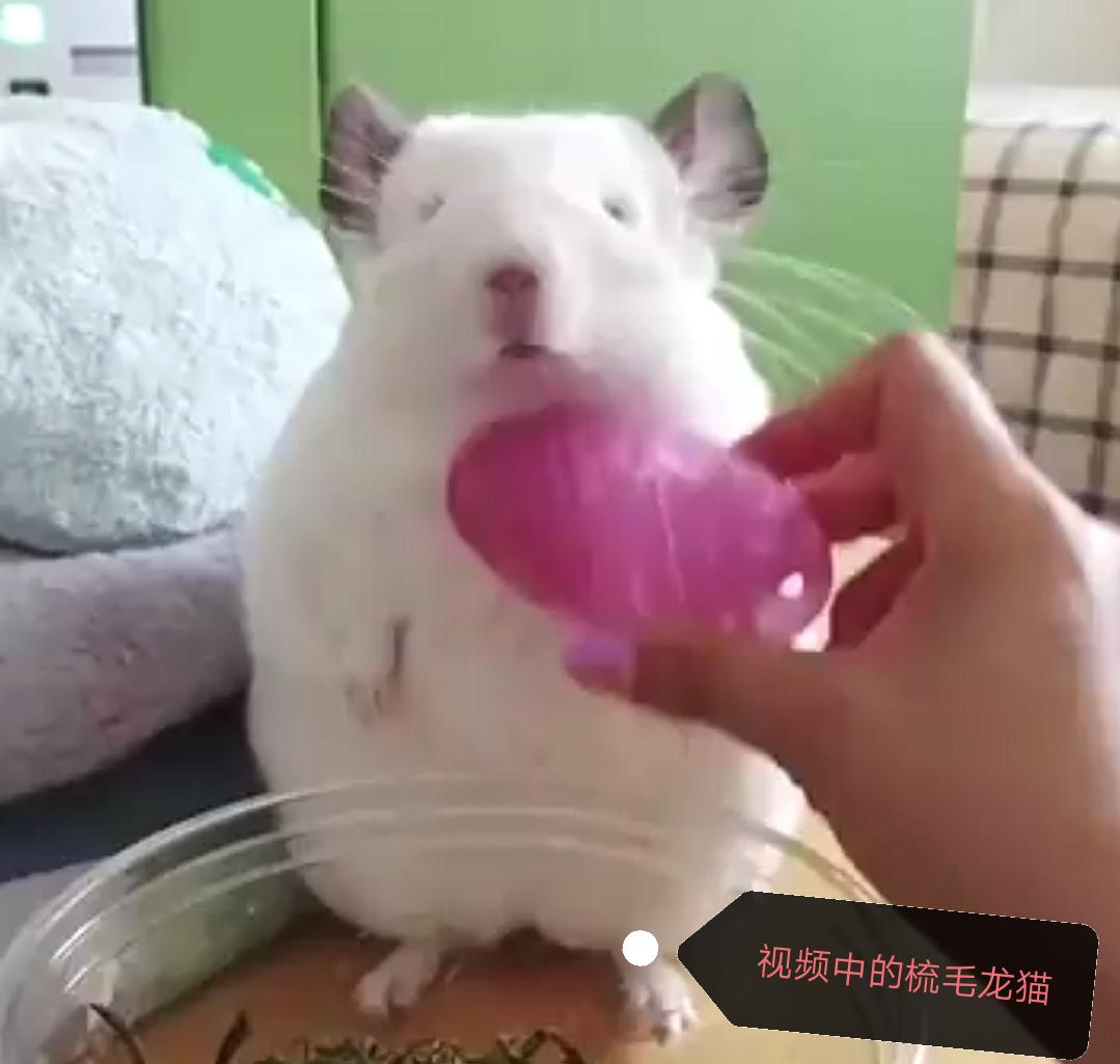 最新可看挠痒痒长视频